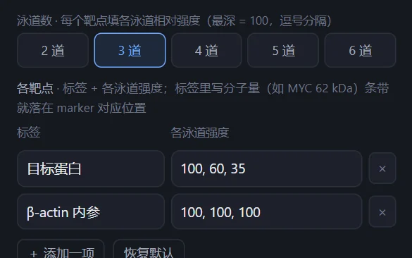 Western blot 的目标值设置:3 条泳道,目标蛋白各道相对强度 100、60、35,β-actin 内参 100、100、100